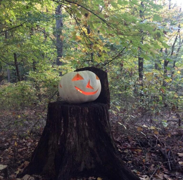 Halloween Haunts: SETTING THE STAGE & THE BROWN COUNTY JACK-O-LANTERN