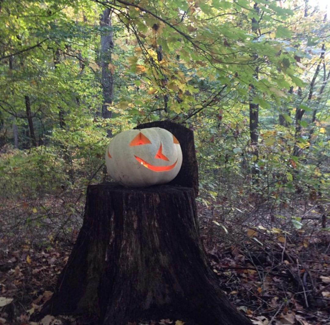 Halloween Haunts: SETTING THE STAGE & THE BROWN COUNTY JACK-O-LANTERN