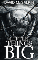 Little Things Big | David M. Salkin