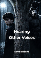 Hearing Other Voices | David Roberts